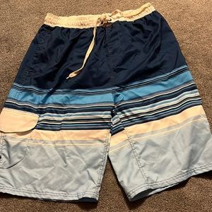 Pacific Scene Mens Bathing Suit